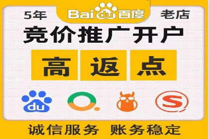 百度广告投放策略：成功案例解析
